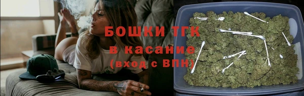 твердый Пересвет