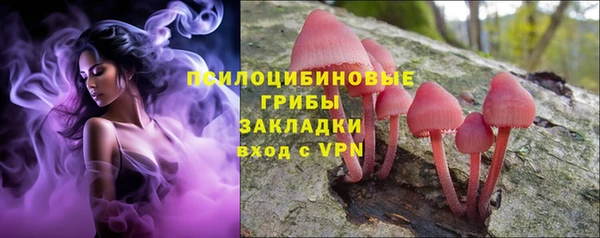 твердый Пересвет