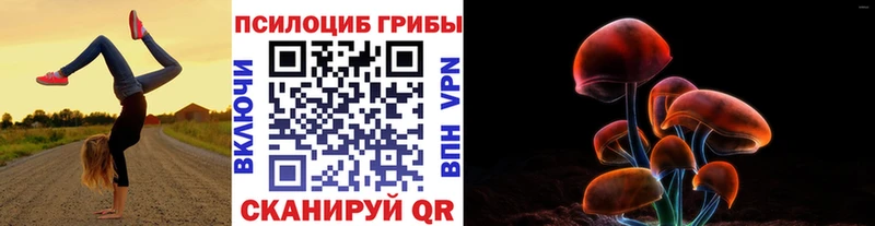 блэк спрут онион  купить наркотик  Лыткарино  Галлюциногенные грибы MAGIC MUSHROOMS 