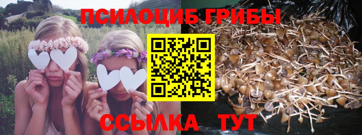 Псилоцибиновые грибы Magic Shrooms Лыткарино
