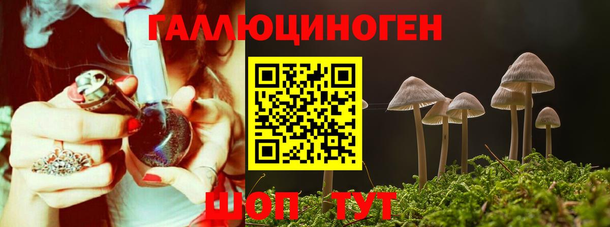 Лыткарино  Галлюциногенные грибы прущие грибы  Вход с VPN 